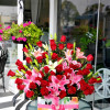 Gallery The Gift Box Flower Shoppe